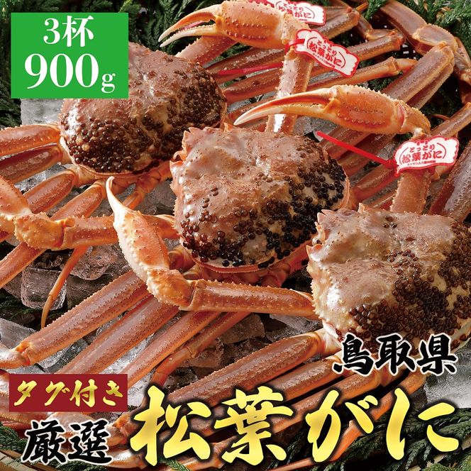 1049.【2025年12月～2026年1月発送】特撰 松葉がに（なま）【訳あり】800g超の大きいサイズ 食べ応えあり 特大3杯 313726_BS027
