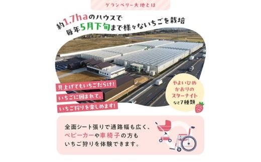 【数量限定】グランベリー大地のいちご2品種食べ比べセット 350g×2トレー ※2025年12月中旬～2026年3月下旬頃に順次発送予定