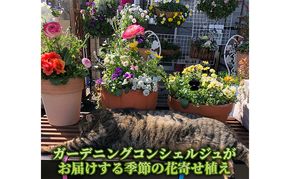 花 ガーデニングコンシェルジュがお届けする 季節の花 寄せ植え 鉢植え 鉢花 5～7種 ガーデニング コンシェルジュ お花 京都 