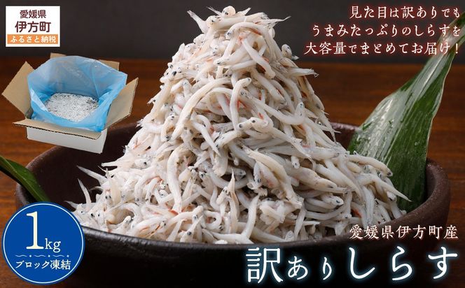 yQɕz󂠂肵炷 1kg IKTB016