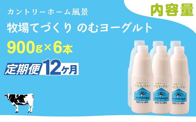 【定期12ヶ月】のむヨーグルト 900g ×6 SKB042