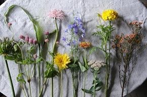 【定期便】季節の切り花セットS（６ヶ月間毎月お届け）