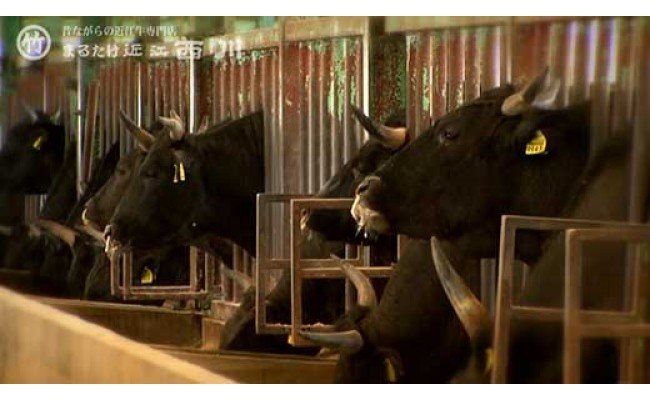 近江牛すきやき用【450ｇ】【N004W】