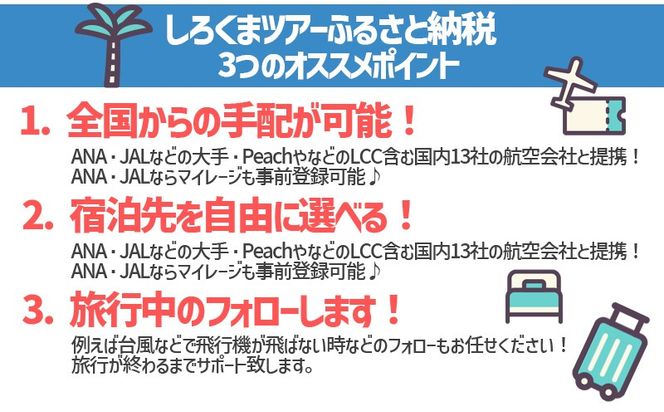 【沖縄市】しろくまツアーで利用可能なWEB旅行クーポン (9万円分) 沖縄旅行 観光 ツアー トラベルクーポン 電子クーポン 90000円 沖縄市 / 株式会社ホワイト・ベアーファミリー[BCAV006]