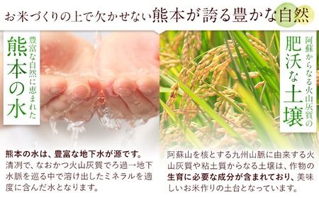 yF{숢hz  󂠂 Iׂ 5kg 10kg 15kg 20kg F{Y hтs12{-2oׁt  R  Y F{ 숢h h т---mna_aby_r7_h_5kg_12500_bc122---