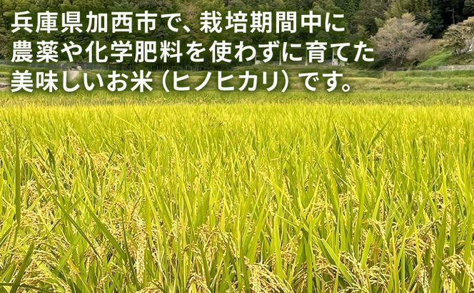 米 コウノトリ舞う田んぼで大自然が育てた"有無ファーム"こだわり米 玄米 5kg お米 栽培期間中農薬・化学肥料不使用