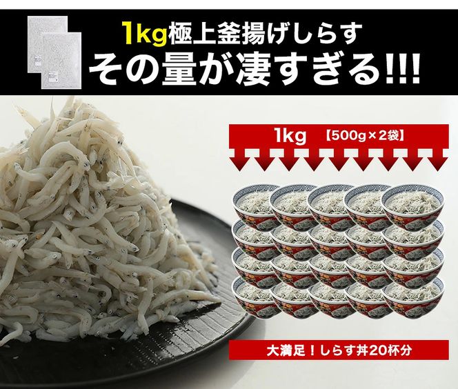 5.極上釜揚げしらす1kg（500g×2）(A5-1)