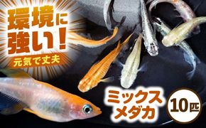 ふるさと納税 服 男 愛知県 愛西市 メンズ ブレザー A6 愛西市 ／ カジウラテックス AEAM003-3 サイズ：A6 メンズ ブレザー A6 ビジネスカジュアル 紺 尾州ウール 愛西市