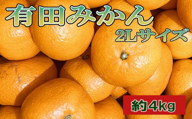 [秀品]和歌山有田みかん約4kg(2Lサイズ) ★2026年11月中旬頃より順次発送［TM199w］BZ92120 