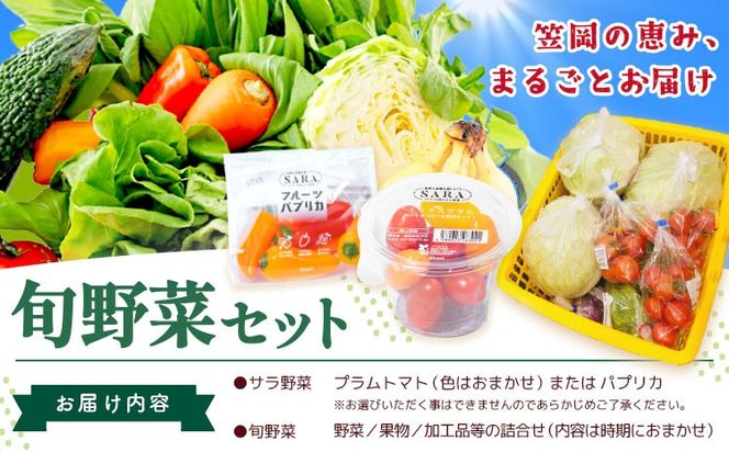 サラ商品とふるさとフレッシュ便 旬野菜セット 野菜 果物 プラムトマト パプリカ 《30日以内に出荷予定(土日祝を除く)》 笠岡アグリセンター 野菜 岡山県 笠岡市---H-60---