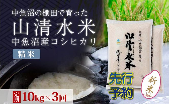 【令和8年産 先行予約】【定期便／全3回】精米10kg 新潟県魚沼産コシヒカリ「山清水米」