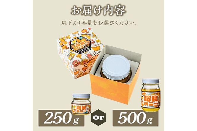 a1002 《期間限定！》選べる容量！姶良ハニー(250g・500g)【原電設工業】姶良市 国産 ハチミツ はちみつ 蜂蜜 百花蜜 蜜 常温 常温保存