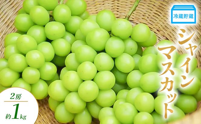 冷蔵貯蔵 シャインマスカット 2房 約1kg ぶどう ブドウ 葡萄 マスカット 果物 フルーツ 長野県 長野 山ノ内町