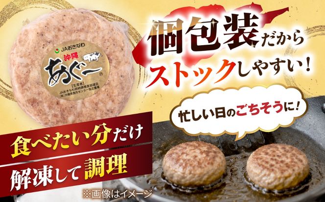 沖縄県産 あぐー豚 ハンバーグセット 800g (100g×8個) 豚 ハンバーグ 冷凍 ギフト お取り寄せ 沖縄市 / お肉屋本店[BCAZ001]