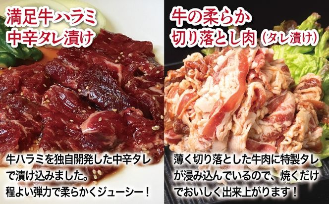 G3359 【タレ漬け牛肉2種セット】 満足牛ハラミ・牛肉切り落とし 合計1kg 【味付け ハラミ 小分け 焼くだけ 簡単調理 BBQ 牛肉 250g×各2P】