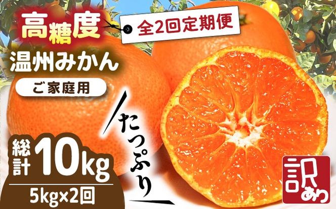 【2024年12月〜発送】【訳あり 2回 定期便 】 温州みかん 約5kg（傷もの） / みかん 南島原市 / 南島原果物屋 [SCV018]