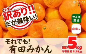 訳あり それでも 有田みかん 箱込 5kg (内容量約 4.4kg)  サイズミックス B品 有田みかん 和歌山県産 産地直送 家庭用［2025年11月中旬より2026年1月中旬頃順次出荷予定］［みかんの会］ AX213