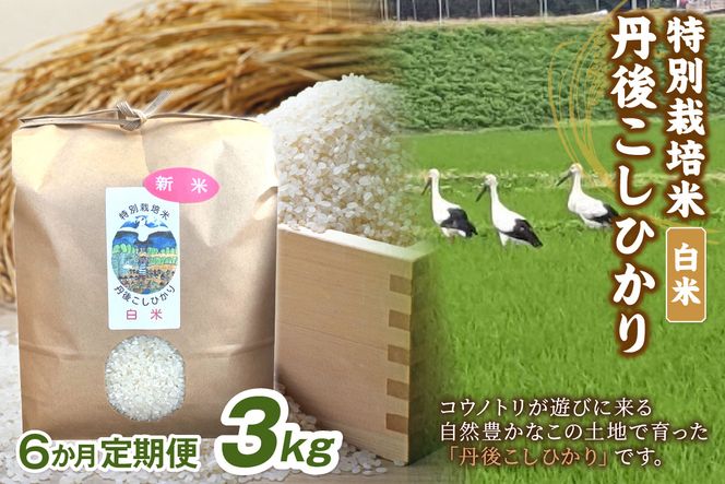 ys{Oszyցz3kg×6 OvlY ʍ͔|ĂЂ@KU00087