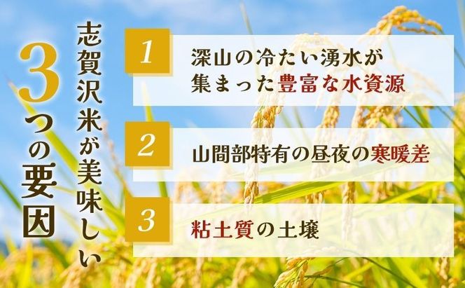 【 令和7年産 】レトルト つや姫 志賀沢米 レンジアップごはん 20個 セット レトルト食品 パックご飯 パックごはん