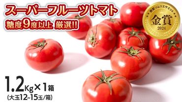 スーパーフルーツトマト 中箱 約1.2kg × 1箱 【 大玉 12～15玉/1箱】 糖度9度 以上 野菜 フルーツトマト フルーツ トマト とまと [AF001ci]