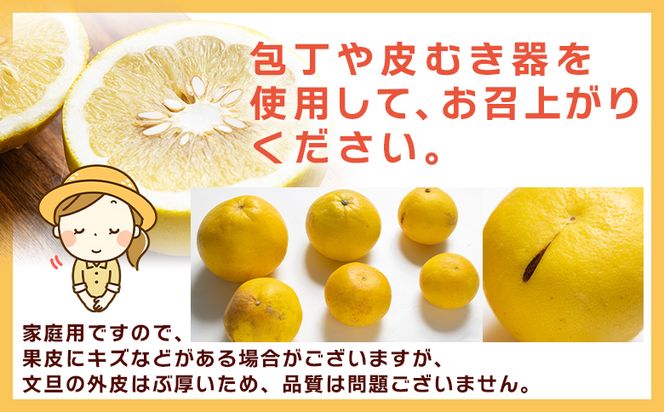 文旦 家庭用 3kg 大小混合(サイズ：L～3L) 高知 大玉 小玉 混合 訳あり 傷 果物 土佐文旦 ぶんたん ブンタン フルーツ 柑橘 香南市産 高知県 数量限定 期間限定 季節限定 旬 常温 10000円以下 1万円以下 yk-0071