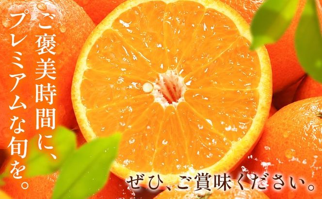オレンジ 訳あり ご家庭用 セミノールオレンジ 約5kg 株式会社魚鶴商店《2027年5月上旬-5月中旬頃出荷予定》 和歌山県 日高町 柑橘 フルーツ---wsh_uot248_5j5c_26_12000_5kg---