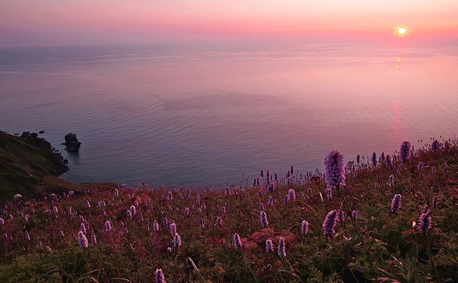 【返礼品なし】北海道 礼文町 ふるさと応援寄附金 2,000円コース ［北海道礼文町］【 寄附のみ 応援 支援 礼文島 地域貢献 自然保護 地方創生 まちづくり ふるさと納税 】