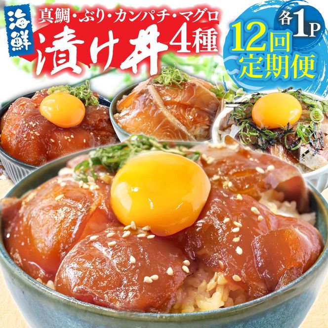 【CF-R7hbk】漬け丼セット4種 80g×各1P 12回定期便 海鮮丼 海鮮丼セット 真鯛 ブリ カンパチ マグロ 海鮮 漬け お茶漬け 鯛 ぶり 鰤 勘八 かんぱち まぐろ 小分け パック ご飯 晩御飯 惣菜 刺身 冷凍 配送