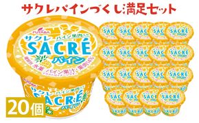サクレパインづくし満足セット　20個｜アイス かき氷 シャーベット デザート ※着日指定不可 ※離島への配送不可◇