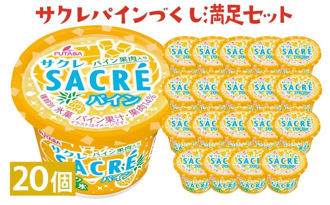 サクレパインづくし満足セット　20個｜アイス かき氷 シャーベット デザート ※着日指定不可 ※離島への配送不可◇