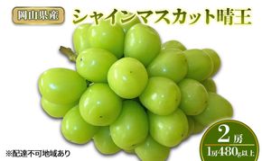 ぶどう 2026年 先行予約 シャインマスカット晴王2房(1房480g以上) 化粧箱入り ブドウ 葡萄 岡山県産 国産 フルーツ 果物 ギフト