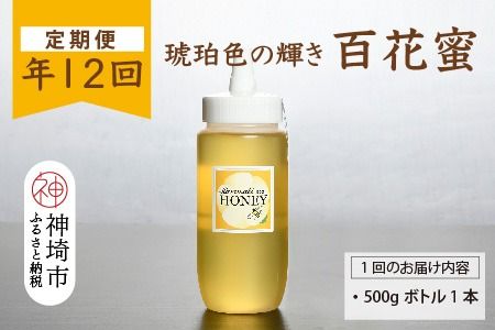 yꌧ_szy12z_Y VR݂͂iv6kgjyY _Y  Y 蕨 ցz(H049131)