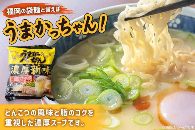 インスタントラーメン うまかっちゃん 濃厚新味 5食パック 6セット 計 30食 [地域商社ふるさぽ 福岡県 筑紫野市 21761455] ラーメン 博多ラーメン インスタント とんこつ 即席ラーメン 袋麺 まとめ買い ラーメン詰め合わせ