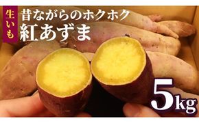 さつまいも 【 選べる品種 】 5kg / 10kg ( 箱込 ) サツマイモ さつま芋 芋 いも 野菜 焼き芋 スイーツ おやつ 国産 シルクスイート 紅はるか 紅あずま ふくむらさき ほしあかね