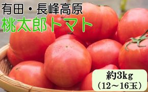 長峰高原 有田産 桃太郎トマト 約3kg ★2025年8月より順次発送 有田川町 BZ065