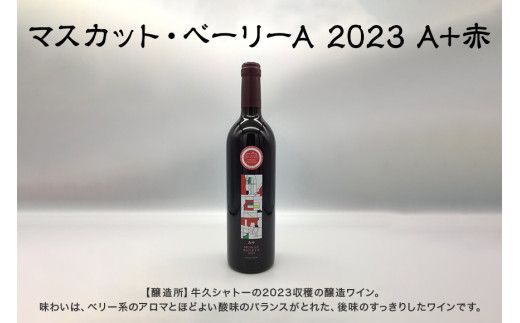 茨城物語 日本遺産 3市 特産 詰め合わせ （ 笠間焼 ・ 梅酒 ・ ワイン ） 茨城 特産品 詰合せ 詰め合せ セット カップ お酒 酒 飲み物 梅 焼き物 グラス [AP024us]