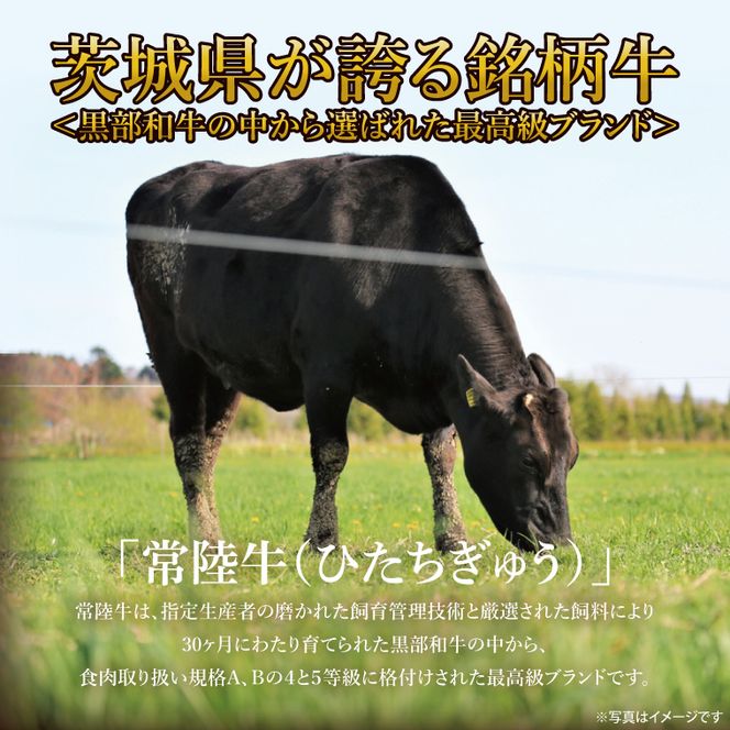 常陸牛切り落とし 約500g｜肉 お肉 牛肉 肉類 常陸牛 切り落とし ブランド 使い切り 少量 茨城県 行方市(DH-31)