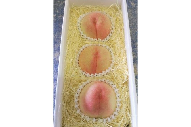 2026年産 先行予約 桃 【糖度保証付】古跡農園の特大桃3玉 [もも フルーツ 果物 ] モモ 果肉 