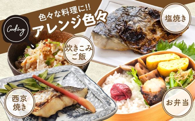 G3734 【定期便】さわら 切身 約50g×10切れ 全2回【2026年2月＆2026年5月発送 お弁当サイズ 小分け 漁師 手切り 500g 泉州 鰆 切り身 弁当 朝食 時短 訳あり サイズ不揃い 規格外 冷凍食品】