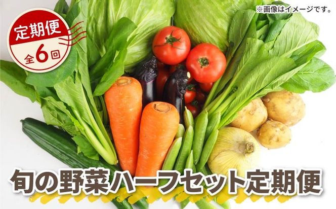 【 全6回定期便 】 野菜 詰め合わせ 産地 直送 6 ~ 8種 減農薬 栽培 旬 採れたて やさい お試し 一人暮らし ふたり暮らし 健康 食材 ハーフセット 静岡県 藤枝市 [PT0133-020000]
