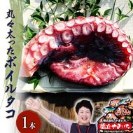 丸々太ったボイルタコ 1本 魚貝類 たこ タコ 茹で 刺身 たこ焼き 炒め物 酢の物 フライ 天ぷら 冷凍 日本海産 惣菜 日本酒 肴 珍味 日本酒 お取り寄せ 食品 食べ物 おつまみ 贈り物 プレゼント 家庭用 自宅用 送料無料 シーフード myz02