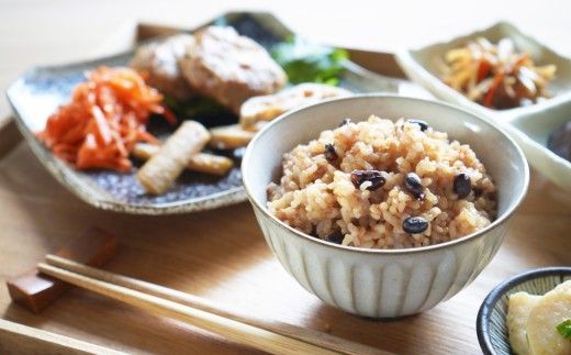 発芽酵素玄米 15食セット【MINORI CAFÉ 発酵食カフェ】_HA1772