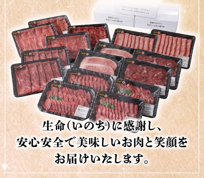 【定期便12回】宮崎牛 匠の堪能コース N0140-YG0233