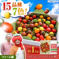 【先行予約】15品種7色の彩り/ カラフルミニトマトの宝石箱約1kg〈2026年12月上旬から順次発送〉トマト ミニトマト とまと カラフルミニトマト 詰め合わせ カラフル トマト とまと 美味しい 野菜 高知県産 高知県 土佐市【ファーム輝】 [BQBM006]