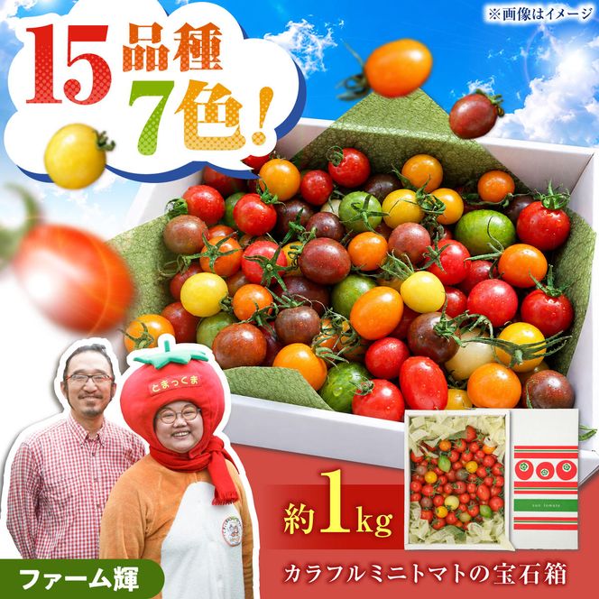 【先行予約】15品種7色の彩り/ カラフルミニトマトの宝石箱約1kg〈2026年12月上旬から順次発送〉トマト ミニトマト とまと カラフルミニトマト 詰め合わせ カラフル トマト とまと 美味しい 野菜 高知県産 高知県 土佐市【ファーム輝】 [BQBM006]