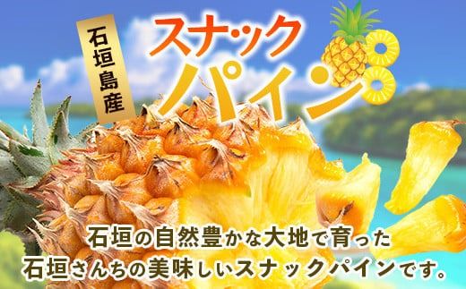 【先行予約】《2026年5月上旬頃より順次発送》石垣島産 スナックパイン (4玉 約4kg)【 産地直送 沖縄 石垣 パイナップル パイン スナック フルーツ トロピカル 南国 】 TP-8-1