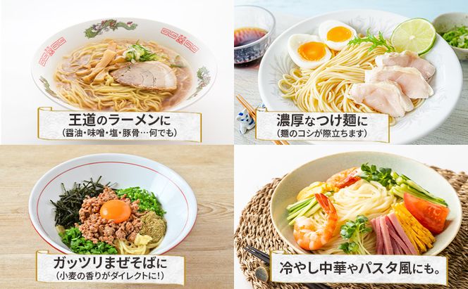 十勝産の原料にこだわったラーメン200g×8入(スープなし)［小田壱］【 乾麺 麺類 長期保存 コシ のどごし 家庭用 備蓄 ギフト 北海道 十勝 幕別 】