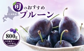 [先行受付]【9月後半～10月発送】北海道 仁木町産 おすすめ プルーン 800g（400g×2パック） 果物類 果物 くだもの フルーツ 果物詰合せ [和田農園]