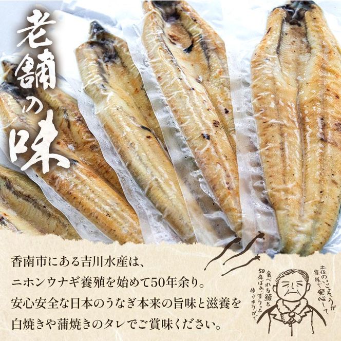 うなぎ白焼 4尾 高知県産うなぎの白焼き 150～180ｇ×4尾 早い スピード発送 7日程度 早く届く スピード配送 エコ包装 国産 うなぎ 白焼き 鰻 冷凍 高知 yw-0116