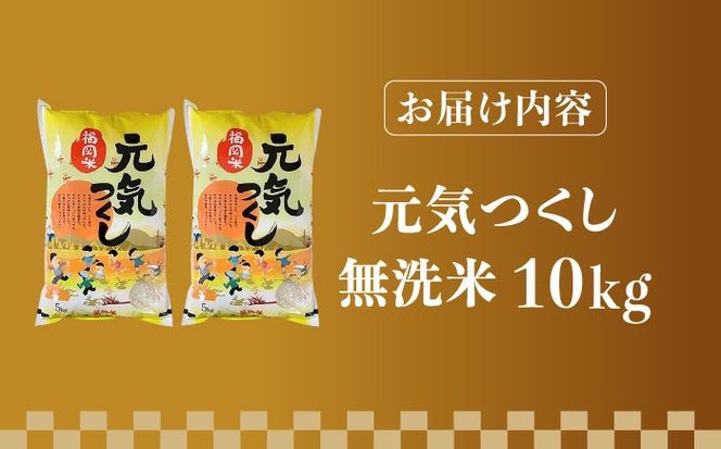 【令和5年産】福岡県産ブランド米「元気つくし」無洗米 10kg (5kg×2袋)《築上町》【株式会社ゼロプラス】[ABDD004]